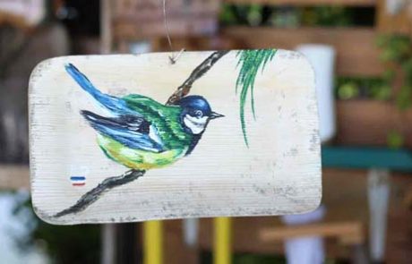 imagen-destacada-bandeja-pintadas-aves